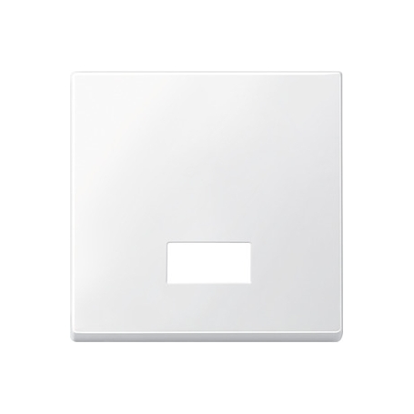 Merten 434819 Wippe mit rechteckigem Symbolfenster, polarweiß, System M