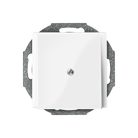 Merten 296319 Zentralplatte Leitungsauslass, polarweiß glänzend, System M