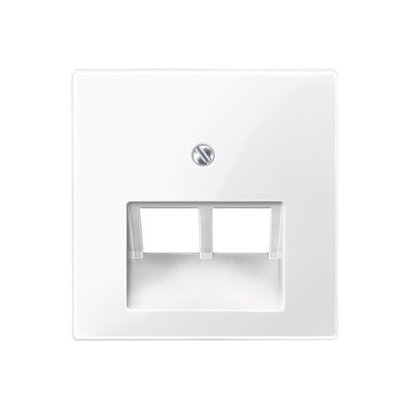 Merten 296119 Zentralplatte für UAE-Einsatz, 2fach, polarweiß glänzend, System M
