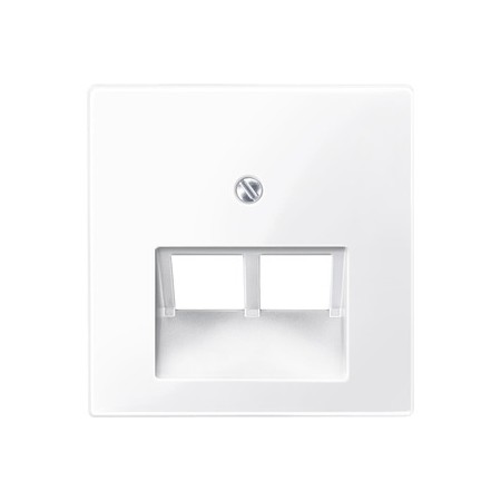 Merten 296125 Zentralplatte für UAE-Einsatz, 2fach, aktivweiß glänzend, System M