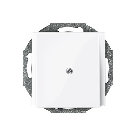 Merten 296325 Zentralplatte Leitungsauslass, aktivweiß glänzend, System M