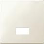 Merten 433844 Wippe mit rechteckigem Symbolfenster, weiß, System M