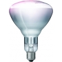 Philips BR125 IR 250W E27 230-250V CL 1CT/10 57523425