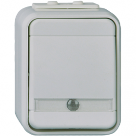 Elso ELG441619 Universal-Schalter beleuchtet 10A AquaTop Steckklemme licht/basaltgrau
