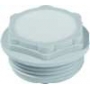 PROTEC.class PMSM 32 Membranschraube IP66 M32