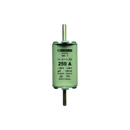 PROTEC.class PSI NH 1 TR 40 A SECURITY