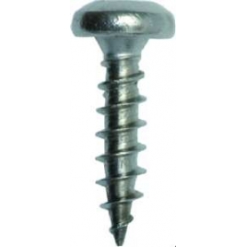 PROTEC.class PS2A 4,0 x 40 VG Panheadschr. TX20 V2A 100 Stück