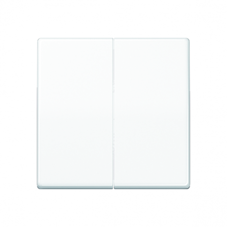Jung ABAS 591-5 WW Wippe, central plate, antibacterial, for series-switches, series-switches, double-switches.