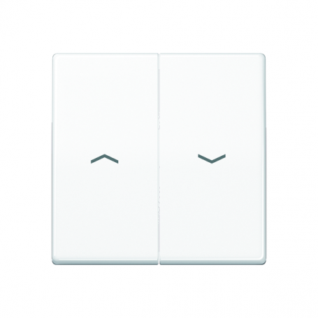 Jung ABAS 591-5 P WW Wippe, Symbols Arrows, Central Plate, Antibacterial, For Blinds Wipper and Blinds Button