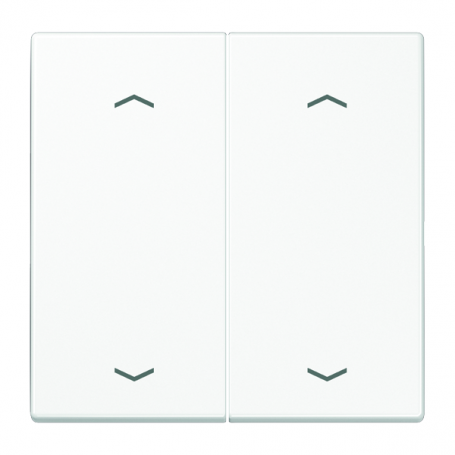 Jung LS 995 MP WW rocker, symbols arrows, for probe BA 2x center position