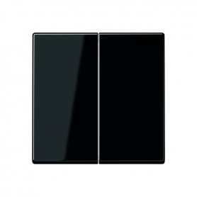 Jung A 595 SW rocker, for series-switch, series-switches, double-switches, double-switches, 2fa