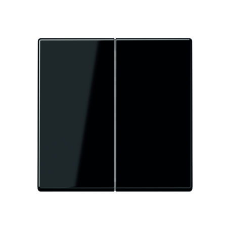 Jung A 595 SW rocker, for series-switch, series-switches, double-switches, double-switches, 2fa