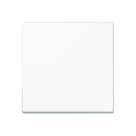 Jung A 590 WW Wippe, für Wippschalter, Tastschalter, Taster und Taster BA 1fach