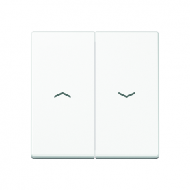 Jung A 595 P WW rocker, symbols, for blinds, blinds and buttons BA 2x