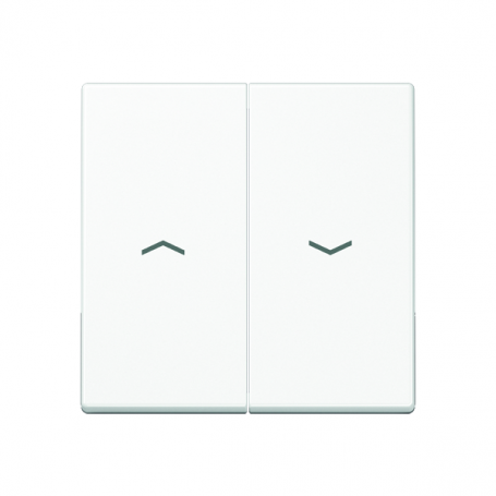 Jung A 595 P WW rocker, symbols, for blinds, blinds and buttons BA 2x
