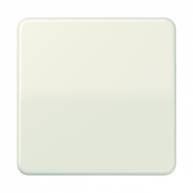 Jung CD 590 Wippe, für Wippschalter, Tastschalter, Taster und Taster BA 1fach