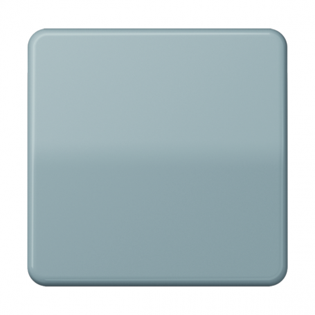 Jung CD 590 GR Wippe, für Wippschalter, Tastschalter, Taster und Taster BA 1fach