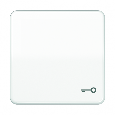 Jung CD 590 T WW rocker, symbol door, for button