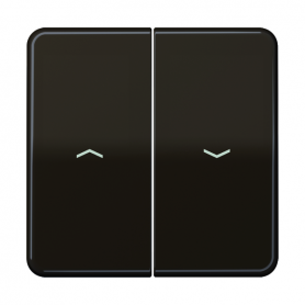 Jung CD 595 P BR rocker, symbols, for blinds, blinds and buttons BA 2x