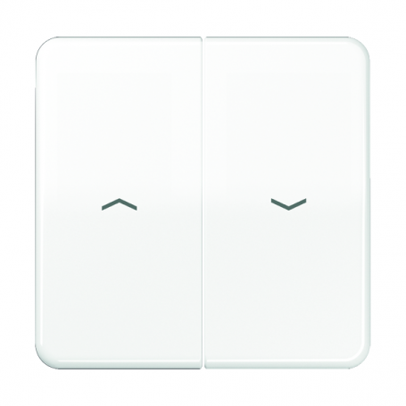 Jung CD 595 P WW rocker, symbols, for blinds, blinds and buttons BA 2x