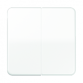 Jung CD 595 WW rocker, for series-switch, series-switch, double-switch, double-switch., double-switch