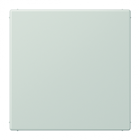 Jung LS 994 B LG Blind-Abdeckung, Tragring, bruchsicher