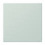 Jung LS 994 B LG Blind-Abdeckung, Tragring, bruchsicher