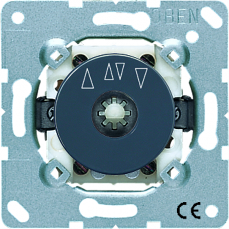 Jung 1234.20 interruptor giratorio, 10 AX, 250 V , interruptor ciego/taster, 2-pin (2 unidades), disco de escala
