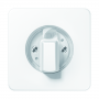 Jung CD 1541 WW Cover, for rotary switches, switching clocks, rotary switches