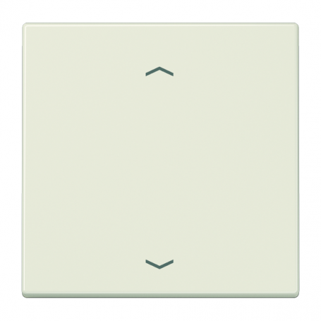 Jung LS 1700 P control key standard, symbols arrows