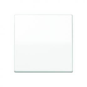 Jung AS 1700 WW Control key Standard