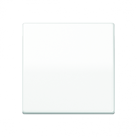 Jung AS 1700 WW Control key Standard