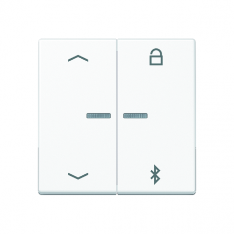 Jung A 1751 PBT WW Timer Universal Bluetooth, Symbole Pfeile