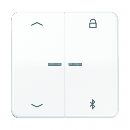 Jung CD 1751 PBT WW Timer Universal Bluetooth, Symbols Arrows