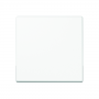Jung A 1700 BF WW Steuertaste Standard, bruchsicher