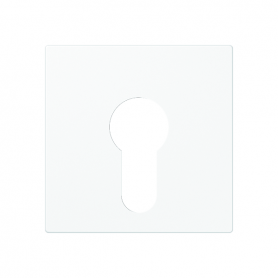Jung A 525 PL WW Cover for key switches 104.15, 134.15, 133.15 and 106.15