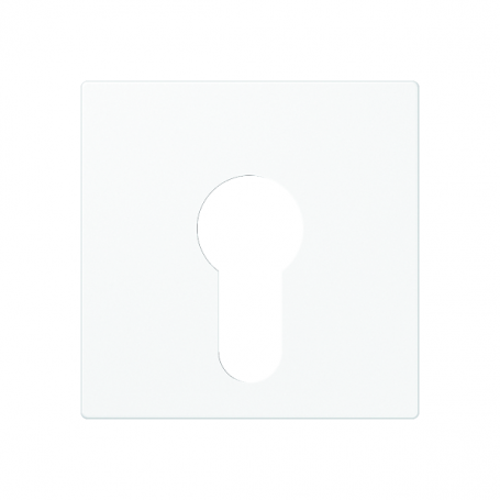 Jung A 525 PL WW Cover for key switches 104.15, 134.15, 133.15 and 106.15