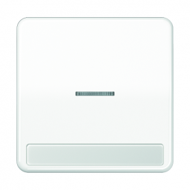 Jung CD 590 NAKO5 WW Wippe, lens, font field, for control switches, illuminatable buttons ...