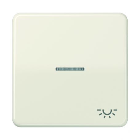 Jung CD 590 KO5L rocker, symbol light, lens, light guide, for illuminable probes