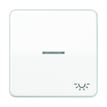 Jung CD 590 KO5L WW rocker, symbol light, lens, light guide, for illuminable probes