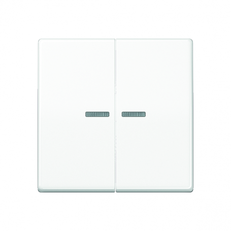 Jung AS 591-5 KO5 WW rocker, lenses, light guide, central plate, for series-switches, series-swip control switch, double-ta