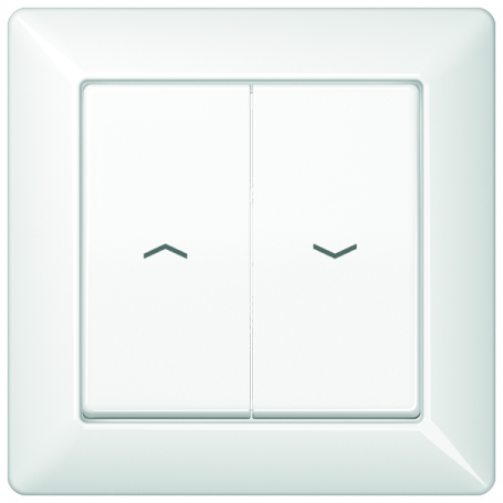 Jung AS 590-5 P WW Cover, symbols arrows, full plate, for blinds, blinds and buttons BA 2x button