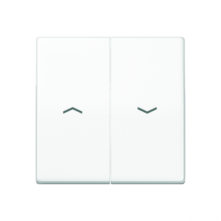 Jung AS 591-5 P WW Wippe, Symbols Arrows, Central Plate, for blinds, blinds and pushbuttons BA