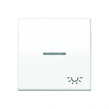 Jung AS 591 KO5L WW Wippe, Symbol Licht, Linse, Lichtleiter, Zentralplatte, für beleuchtbare Taster