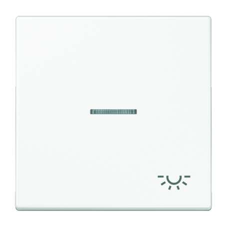 Jung LS 990 KO5L WW rocker, symbol light, lens, light guide, for illuminable probes