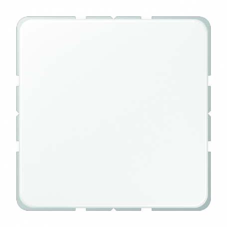 Jung CD 594-0 WW Blind-Abdeckung, Tragring