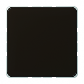Jung CD 594-0 BR Blind-Abdeckung, Tragring