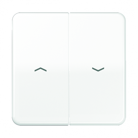 Jung CD 595 PBF WW rocker, symbols, break-proof, for blinds and blinds buttons