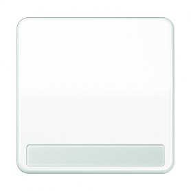 Jung CD 590 NABF WW Wippe, Schriftfeld, bruchsicher, für Schalter, Taster und Taster BA 1fach