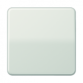 Jung CD 590 LG Wippe, für Wippschalter, Tastschalter, Taster und Taster BA 1fach